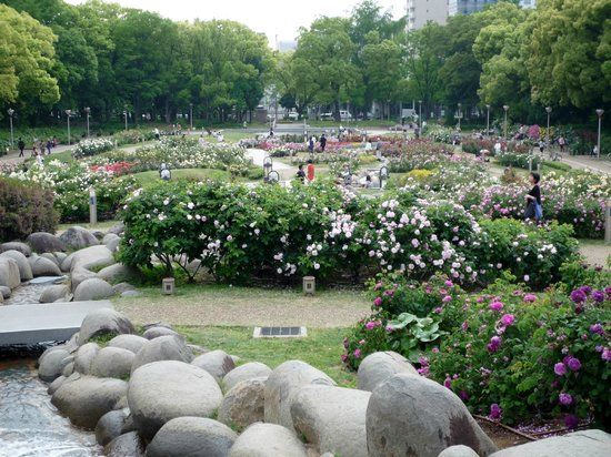 Utsubo Park